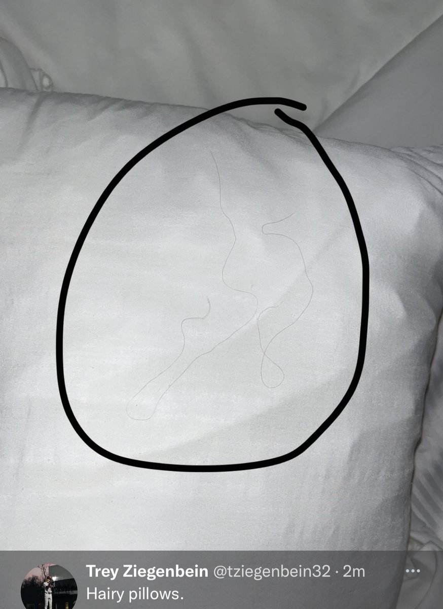 The @MSUBearBaseball team’s hotel is gross. How can we expect players to perform their best when they can’t get a good nights sleep. They got bed bugs, blood on the bed, hair on their pillows and 3xl panties behind the door. This is literally nightmare fuel from the NCAA