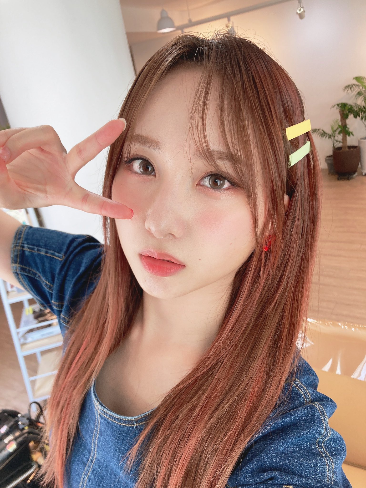 이미지