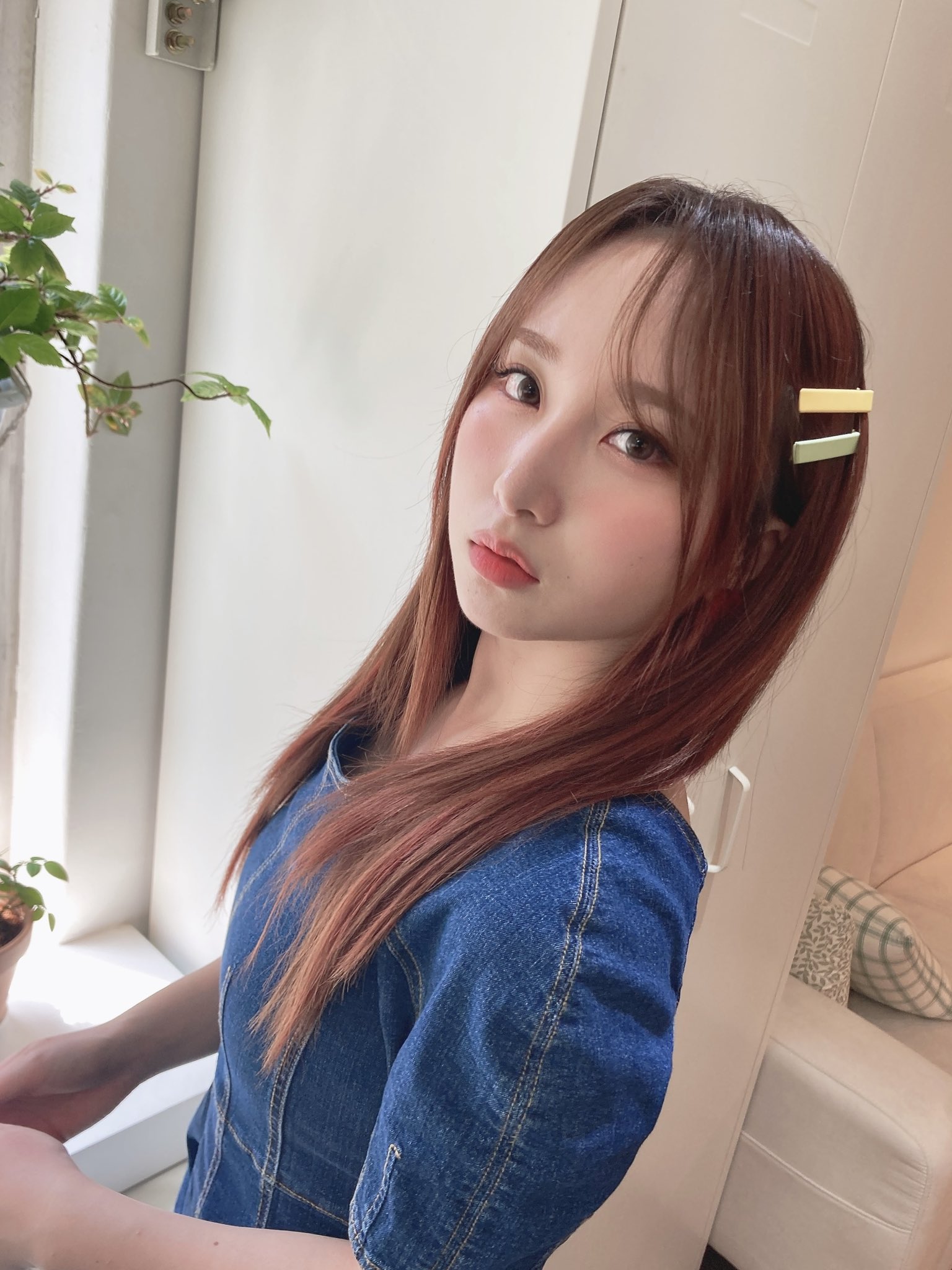 이미지