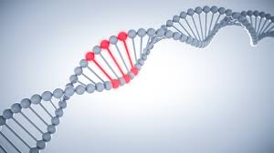 AngelCharrette's tweet photo. Cell and Gene therapy Conference scheduled on June 27-28,2022 #London #UK 
#celltherapy #GeneTherapy #Cellscience #Cellbiology #Celldamage #Genetics #agriculture #DNA #RNA #stemcells #Nanotechnology 
URL:https://t.co/X3rw6Fq7B3    +443308187921 https://t.co/vWeqSbsVyO