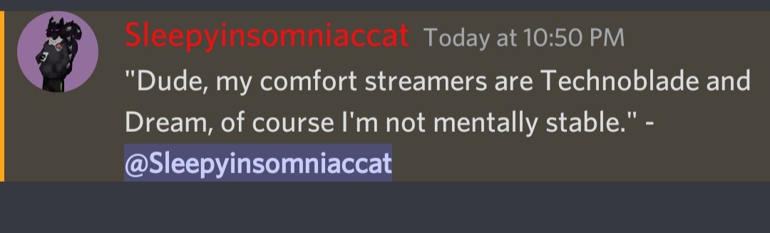 Sleepyinsomni's tweet photo. Ah yes, the conversations on Storm. #mcyt #stormsmp #twitch #smallstreamers #Minecraft #twitchstreamer #YouTuber #YouTube https://t.co/gOcBGYjPnI