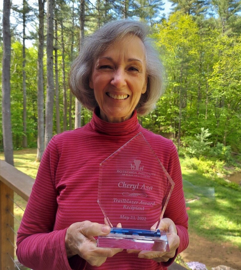 BotstiberIWFC's tweet photo. Congrats to Cheryl Asa, recipient of the 2022 Trailblazer Award presented at the International Conf. on Wildlife Fertility Control. Cheryl was honored for her profound impact on the field, her exemplary reputation & for serving as a model for practitioners and researchers. #ICWFC https://t.co/ZAfXzknaGq