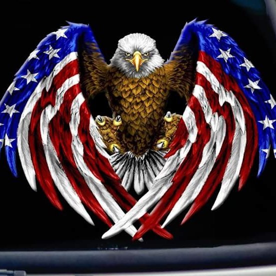 fultz_rex's tweet image. #NewProfilePic