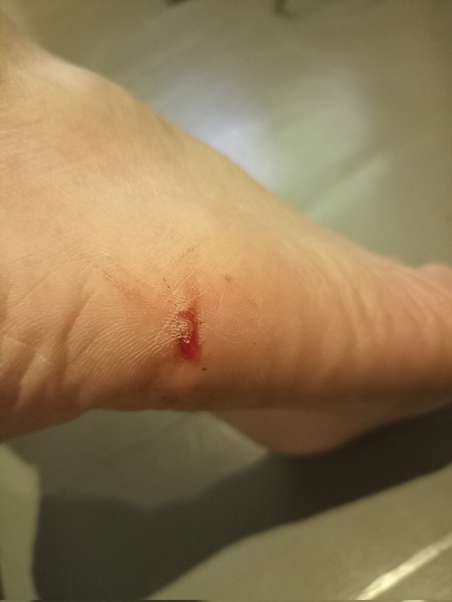 Garth Breytenbach tweet media