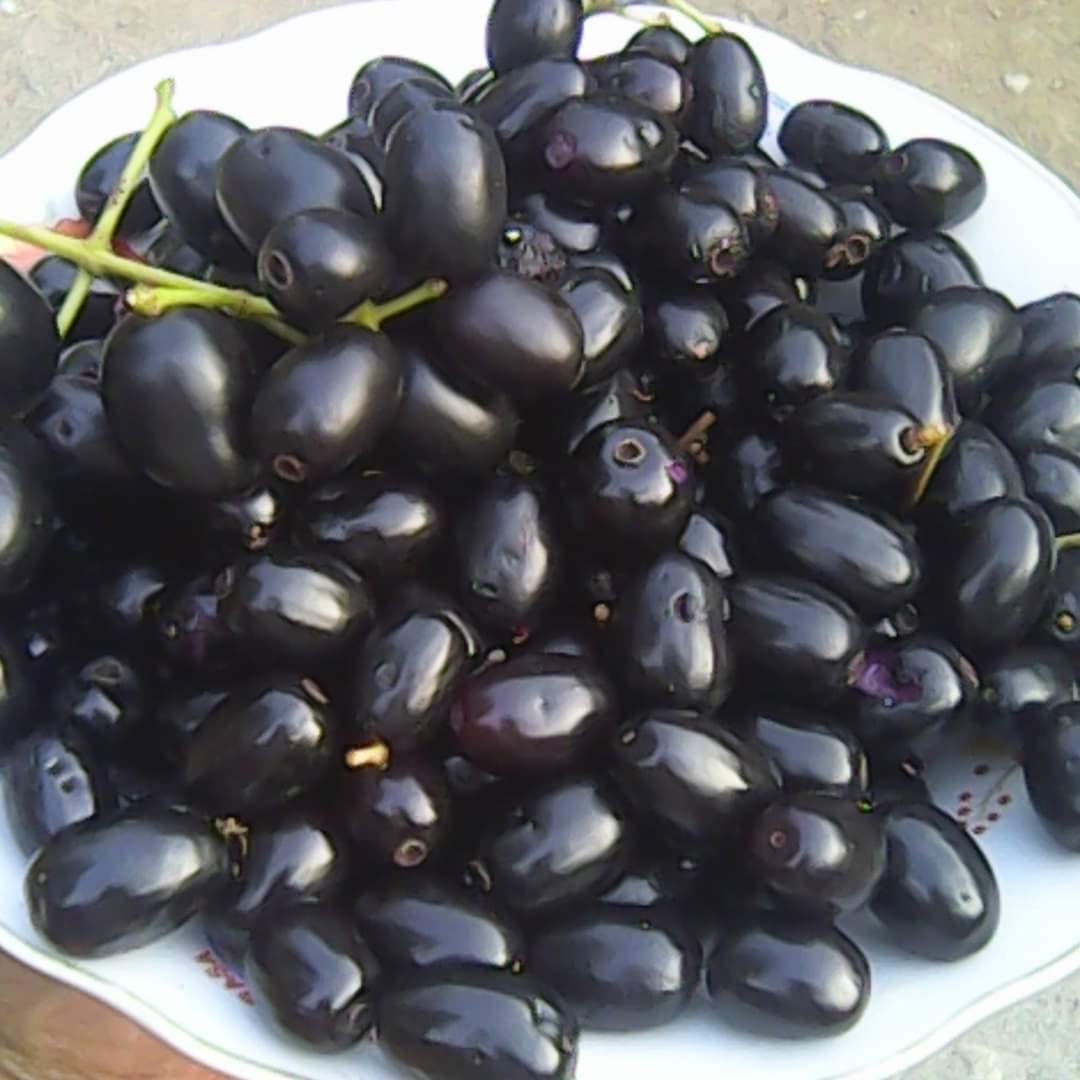 sharmin357's tweet photo. #Fruit #tasty #yummy https://t.co/mjr0lg2cgS
