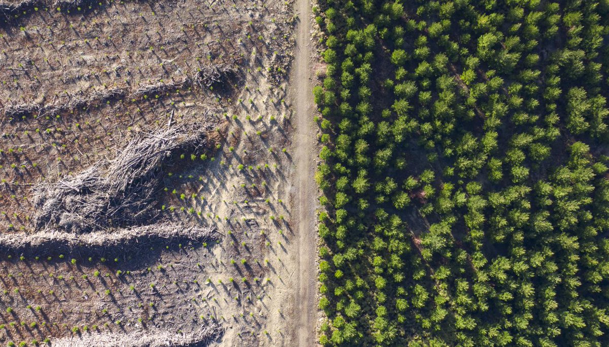 callaghannz's tweet photo. Welcome to our two new #NZCleanTechMission partners: @KiwiNet_NZ and #AraAke!
Through the partnership, we’re building collaboration across the #CleanTech ecosystem as we work towards a zero-carbon, climate-resilient future for New Zealand.
Learn more 👉 https://t.co/dvaFVp7gxQ https://t.co/MeXCF8dRIu