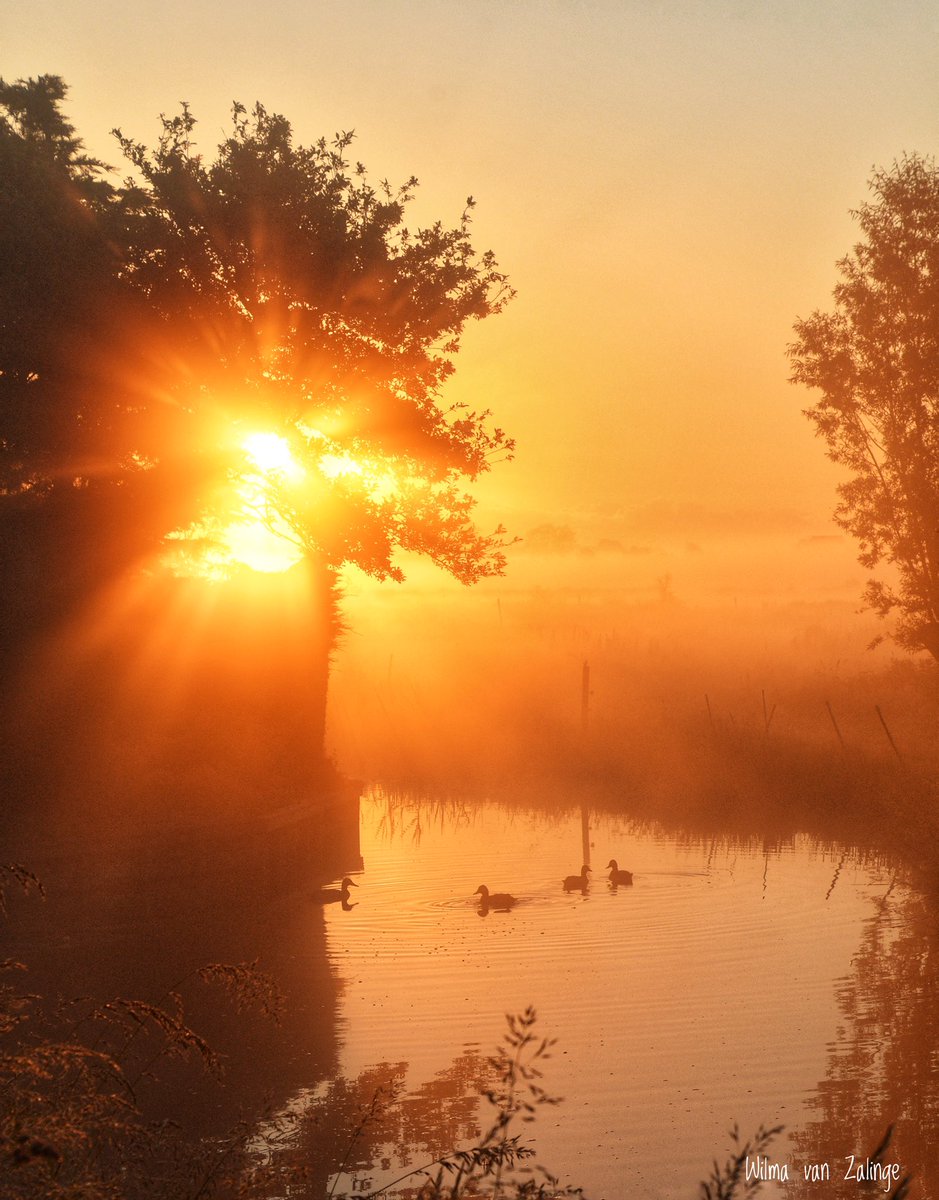#hobrede lovely morning <a href="/groot_waterland/">Groot-Waterland</a> <a href="/ThePhotoHour/">#ThePhotoHour</a> <a href="/NoodweerBenelux/">NoodweerBenelux</a> <a href="/weerenradar_nl/">Weer & Radar Nederland</a> @Talpaweer <a href="/BuienRadarNL/">Buienradar</a> <a href="/StormHour/">#StormHour</a>