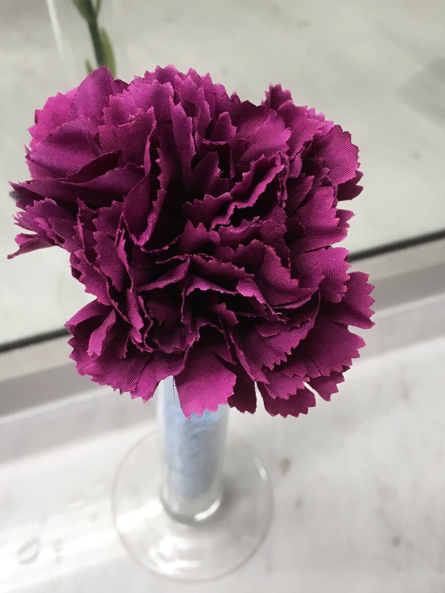 AnaCoelhoBXL's tweet photo. They are always there during fairs, conferences and meetings but people are hardly noticing them.
They are flowers and I wanted to give them some exposure before they are thrown away after the show #WasteOfBeauty #ThinkSustanable https://t.co/cLL1Z19ouM