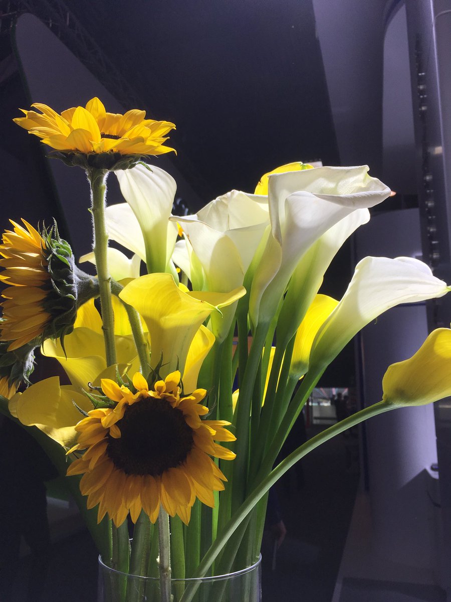 AnaCoelhoBXL's tweet photo. They are always there during fairs, conferences and meetings but people are hardly noticing them.
They are flowers and I wanted to give them some exposure before they are thrown away after the show #WasteOfBeauty #ThinkSustanable https://t.co/cLL1Z19ouM