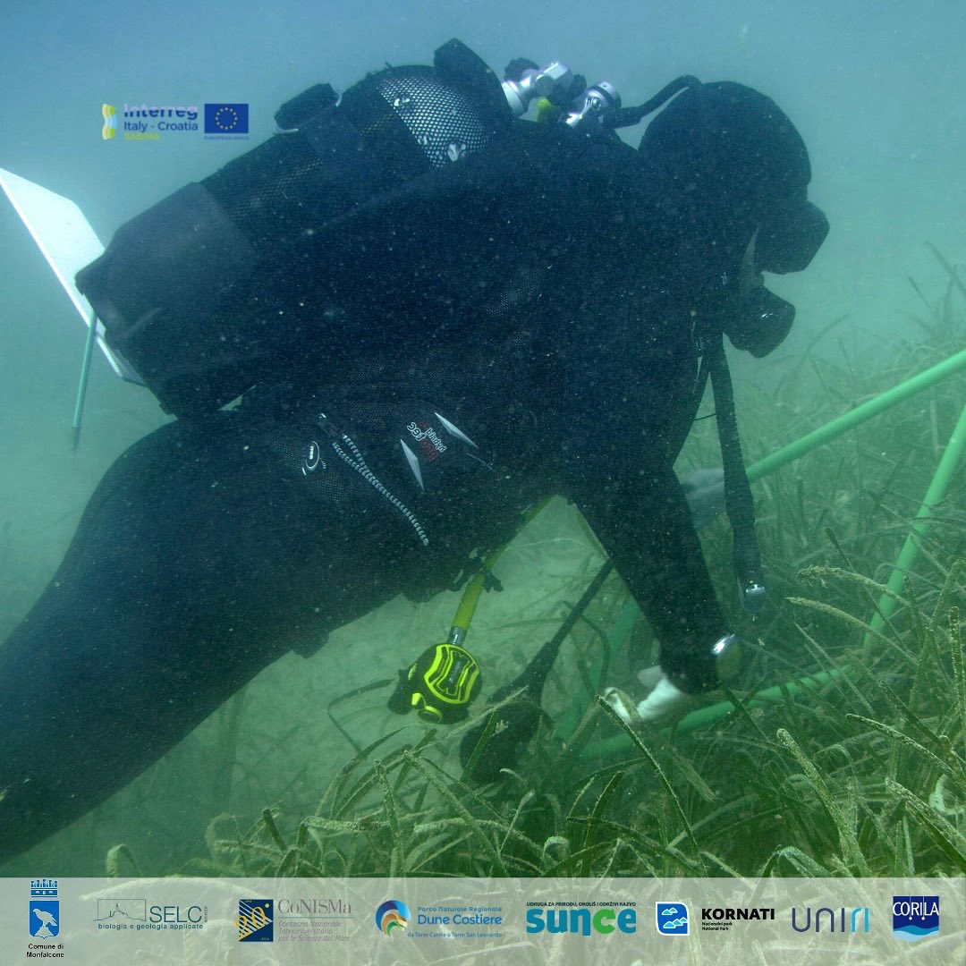 The FINAL CONFERENCE of the SASPAS project awaits us in a week.

We are looking forward to the last meeting in Split!

#interregitalycroatia #saspas #becomeposidoniakeeper #postanicuvarposidonije