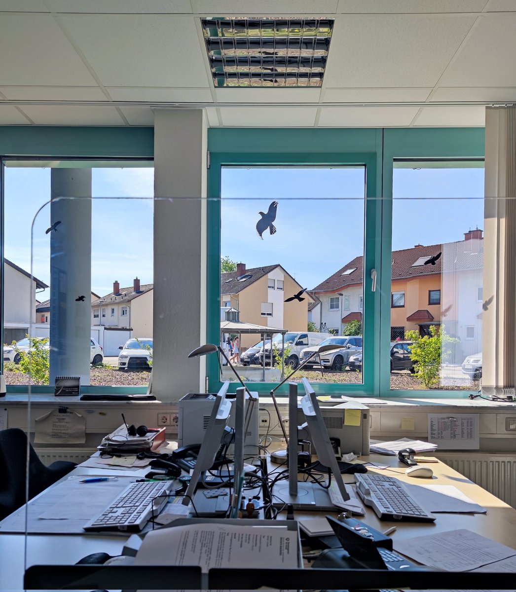 Да здравствует бюрократия )))