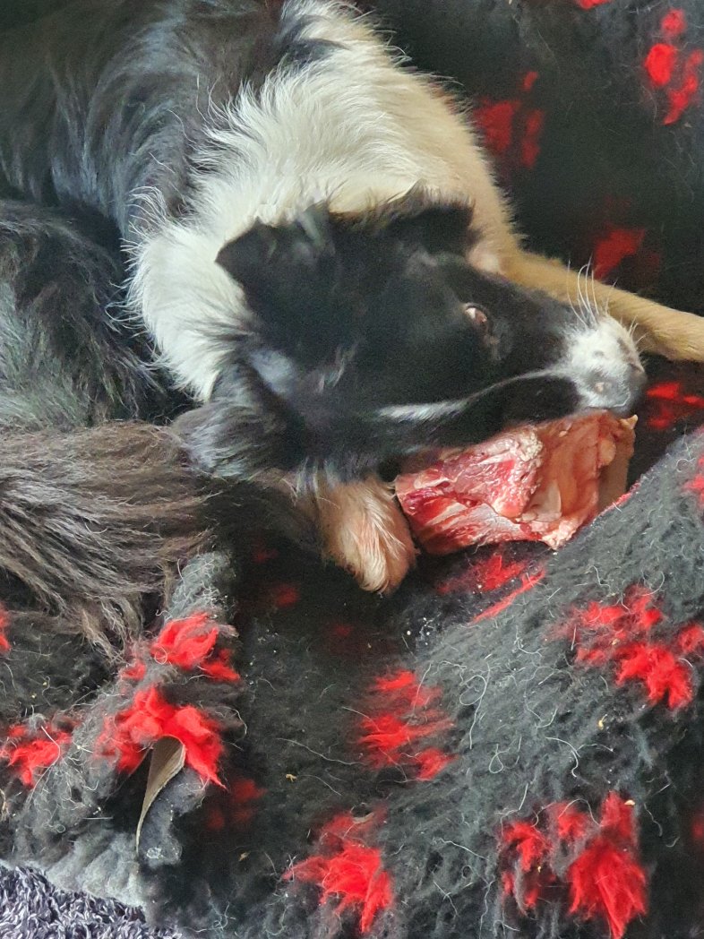 @Hello_Vanado a million miles & still more to go🎶 tweet media