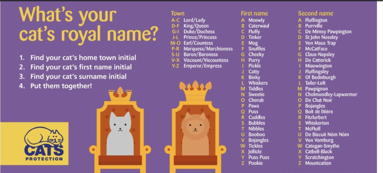 Cat Name Generator