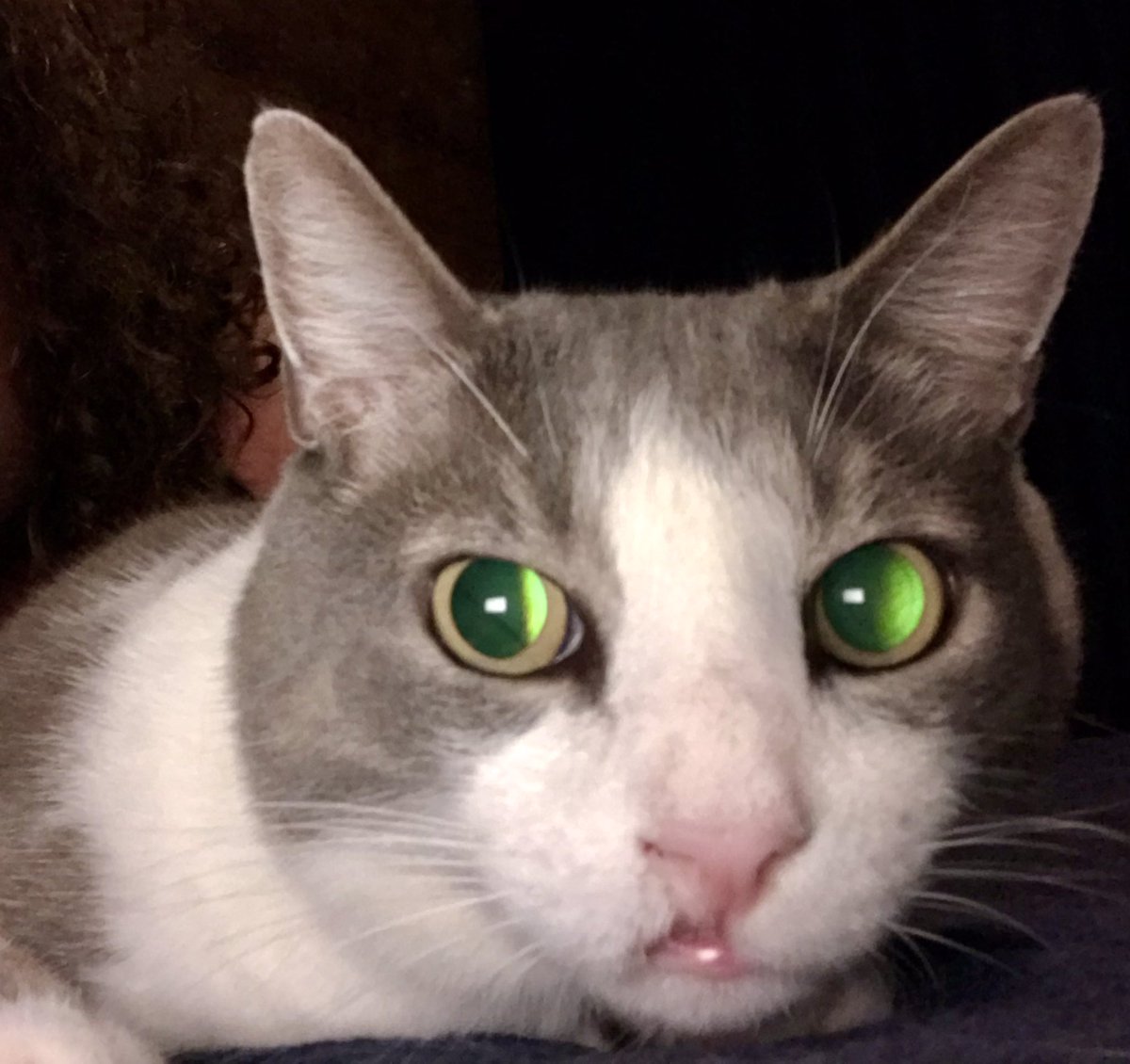 RealRuggle's tweet image. 