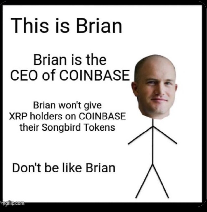 XRP Buddah tweet media