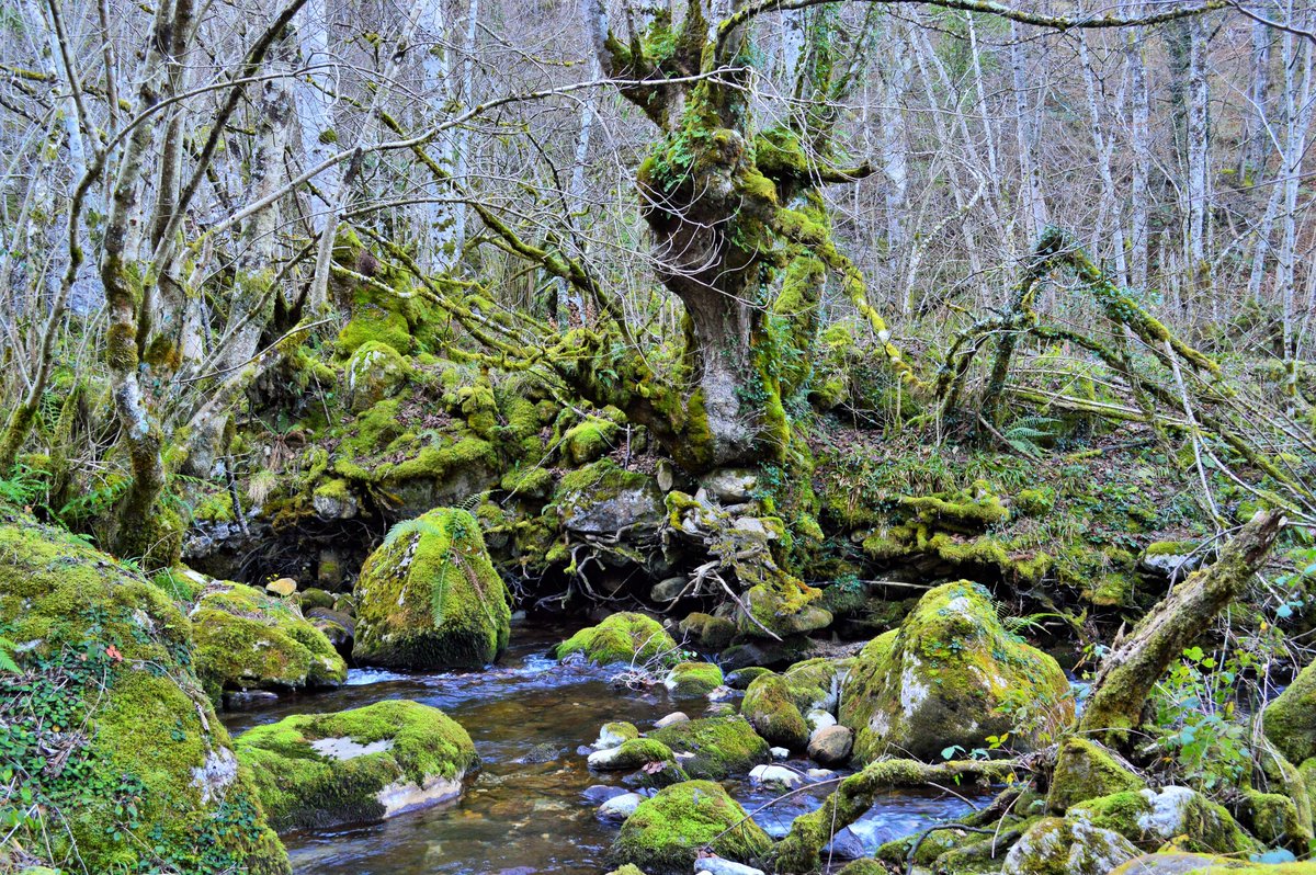 La naturaleza puede crear espectáculos extraordinarios😍
#Felizjueves 
📍Los Arrudos, Caso, #Asturias 💚