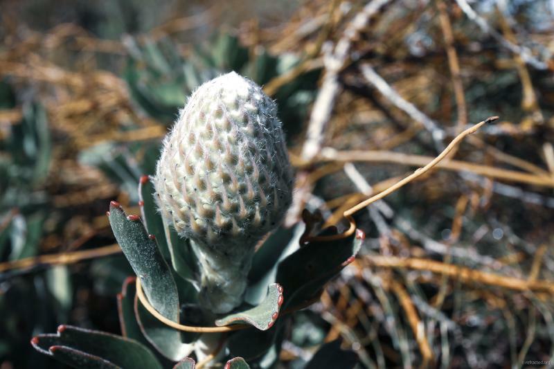 Gareth Lennox tweet media