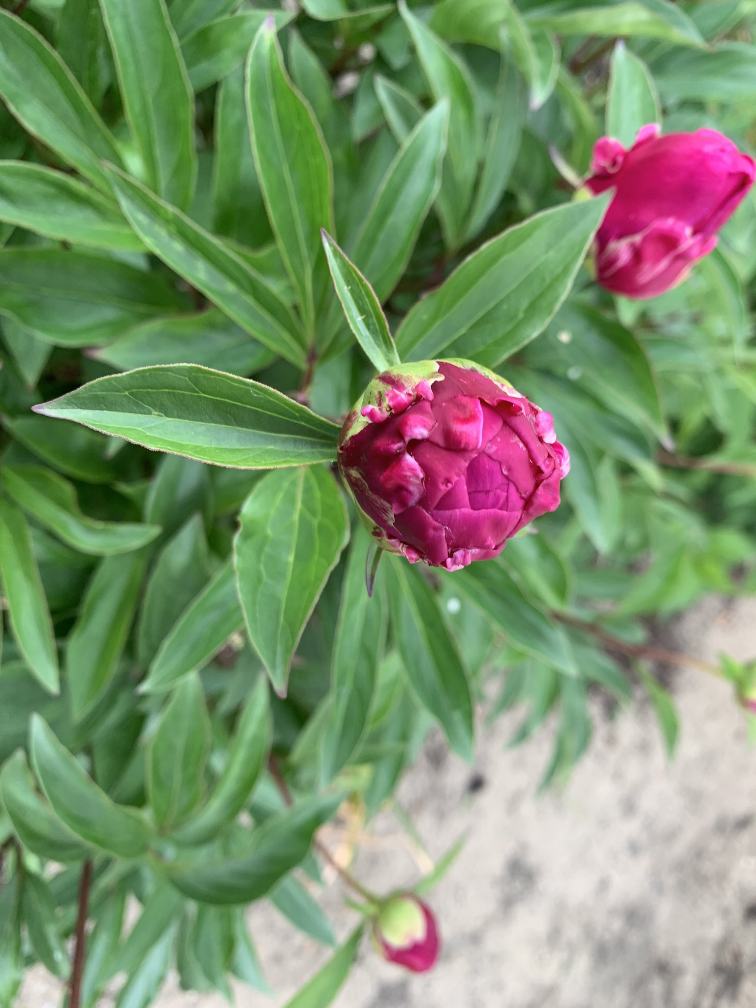 META 💙💛Мир для України on Twitter 