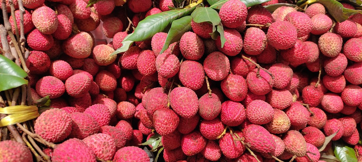 Delectable Litchis in the market. Juicy summer fruits #summerhouse #fruits #litchis #Delhi#Hot#