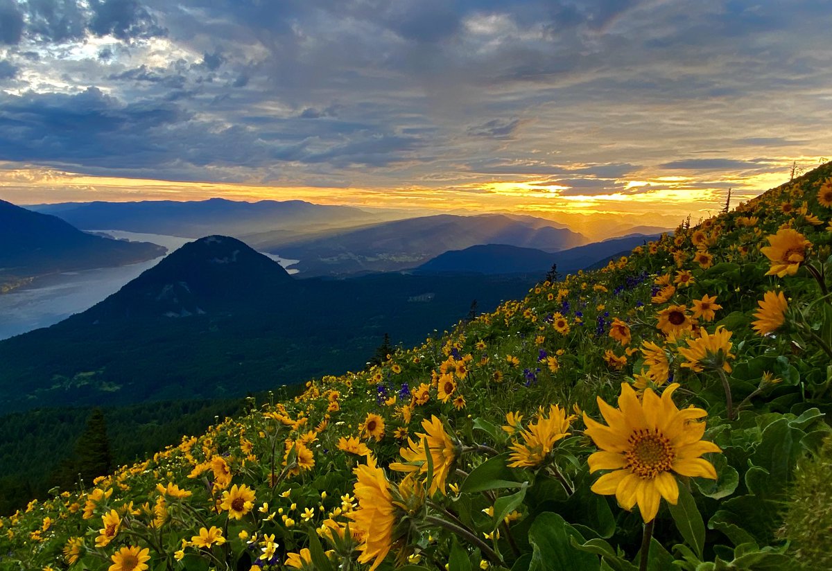 Sunset from Dog Mountain