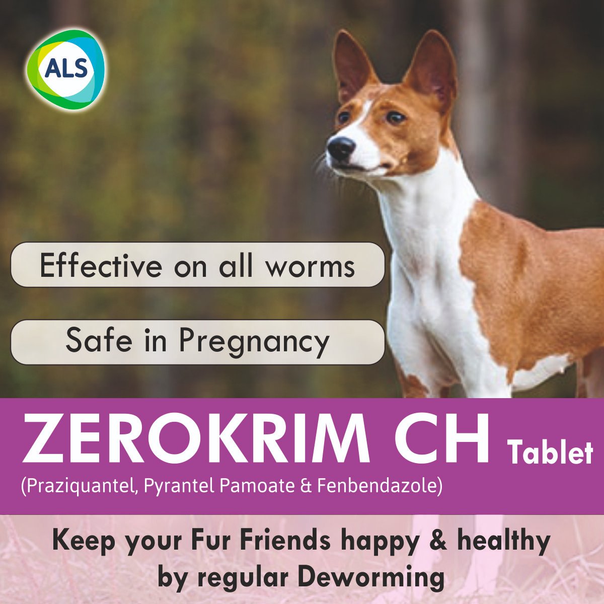 Avoid serious health risk of your fur friends by regular deworming!

For the control of the following gastrointestinal roundworms and tapeworms (both adults and immature worms) of adult dogs, puppies and cats.

Click and buy now: bit.ly/37oIAtT