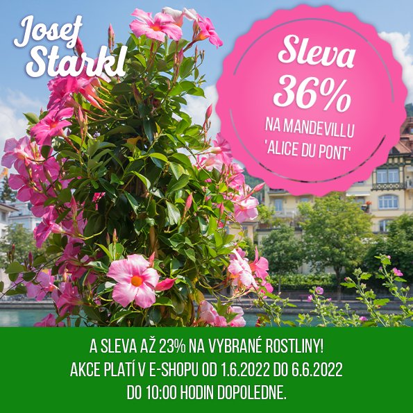 Zahradnictvi Starkl Akce () Zahradnictvi Starkl Akce
