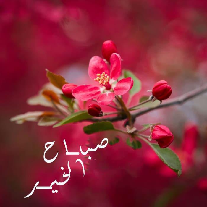 avLeUvJNQdcKCzY tweet picture