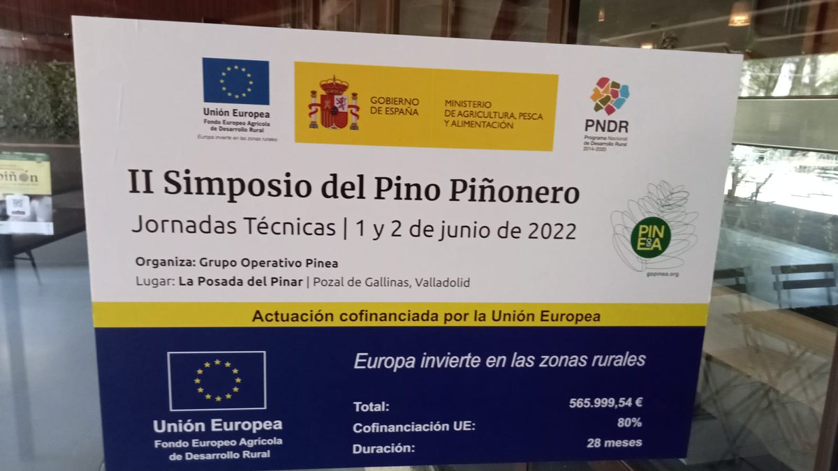 GO PINEA tweet media