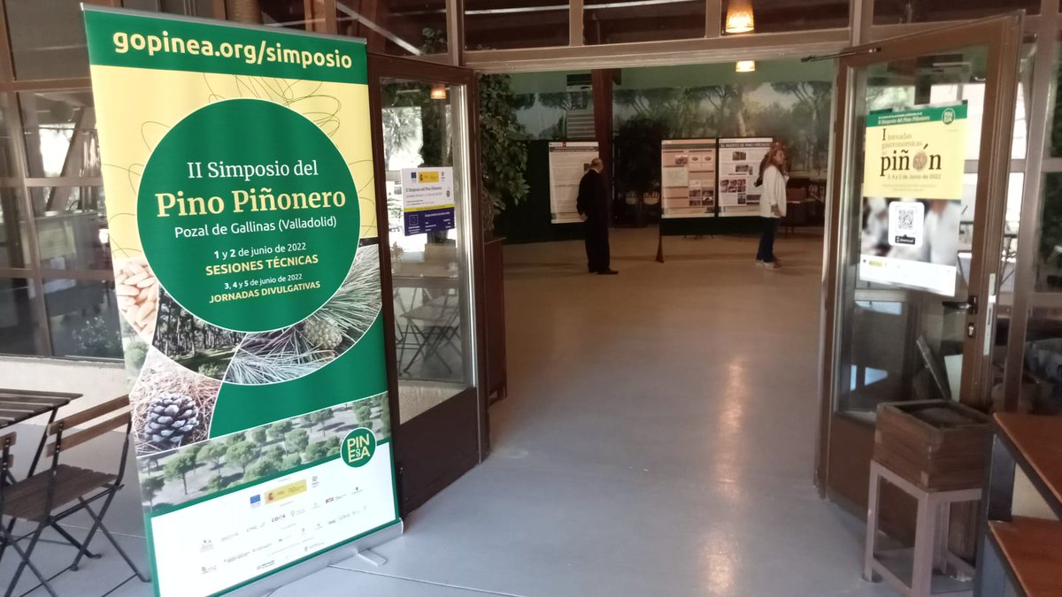 GO PINEA (@go_pinea) on Twitter photo 🌞Hoy seguimos con el #SimposioPiñonero2022.
Toda la información y sesiones en directo en gopinea.org/simposio/
🤝Socios: <a href="/Selvicultores/">Selvicultores</a> <a href="/fafcyle/">FAFCYLE</a> <a href="/FCesefor/">Fundación Cesefor</a>
<a href="/ctforestal/">CTFC</a> <a href="/ECOESPACIO_/">ECOESPACIO Plagas</a> <a href="/pinonsol/">piñones</a>
<a href="/irtacat/">IRTA</a> <a href="/coopforestal/">Cooperativa Forestal</a> 🌞Hoy seguimos con el #SimposioPiñonero2022.
Toda la información y sesiones en directo en gopinea.org/simposio/
🤝Socios: <a href="/Selvicultores/">Selvicultores</a> <a href="/fafcyle/">FAFCYLE</a> <a href="/FCesefor/">Fundación Cesefor</a>
<a href="/ctforestal/">CTFC</a> <a href="/ECOESPACIO_/">ECOESPACIO Plagas</a> <a href="/pinonsol/">piñones</a>
<a href="/irtacat/">IRTA</a> <a href="/coopforestal/">Cooperativa Forestal</a>