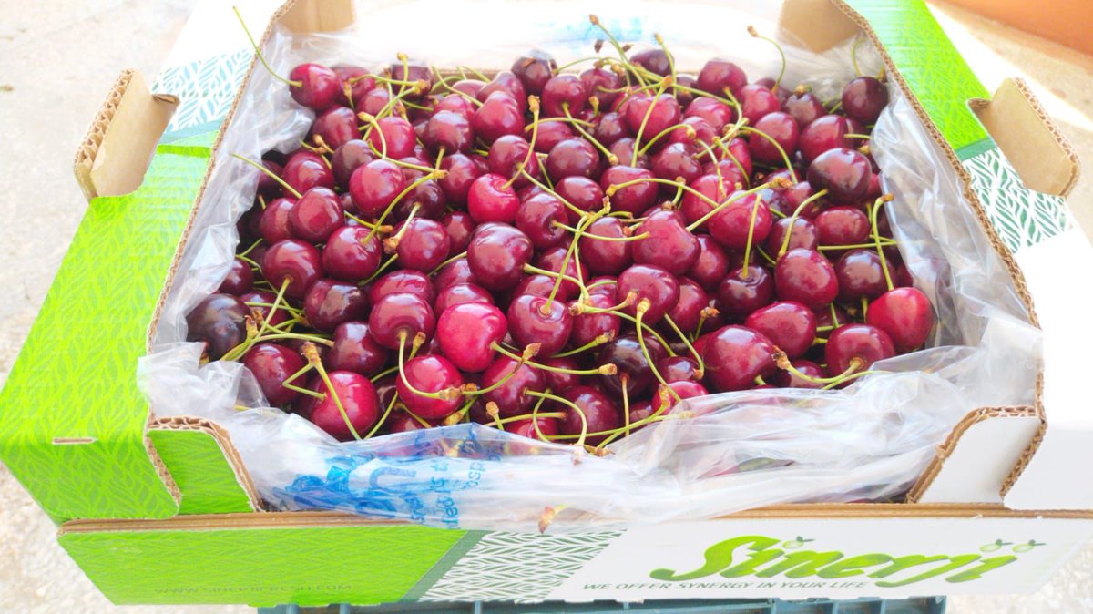sinerjifresh's tweet photo. #fruits #Fresh #natural #export #tasty #healthy #quality #agriculture #flavor #Turkey #Sweden #Germany #Italia #Holland #Austria #Belgium #Norway #Dubai #france #Denmark #ENGLAND #Kazakhstan @Berdanber @sinerjifresh https://t.co/z7bF2UHDj6