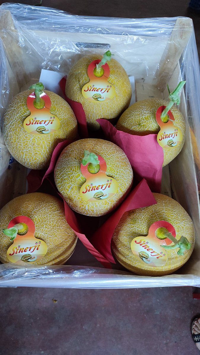 sinerjifresh's tweet photo. #fruits #Fresh #natural #export #tasty #healthy #quality #agriculture #flavor #Turkey #Sweden #Germany #Italia #Holland #Austria #Belgium #Norway #Dubai #france #Denmark #ENGLAND #Kazakhstan @Berdanber @sinerjifresh https://t.co/z7bF2UHDj6