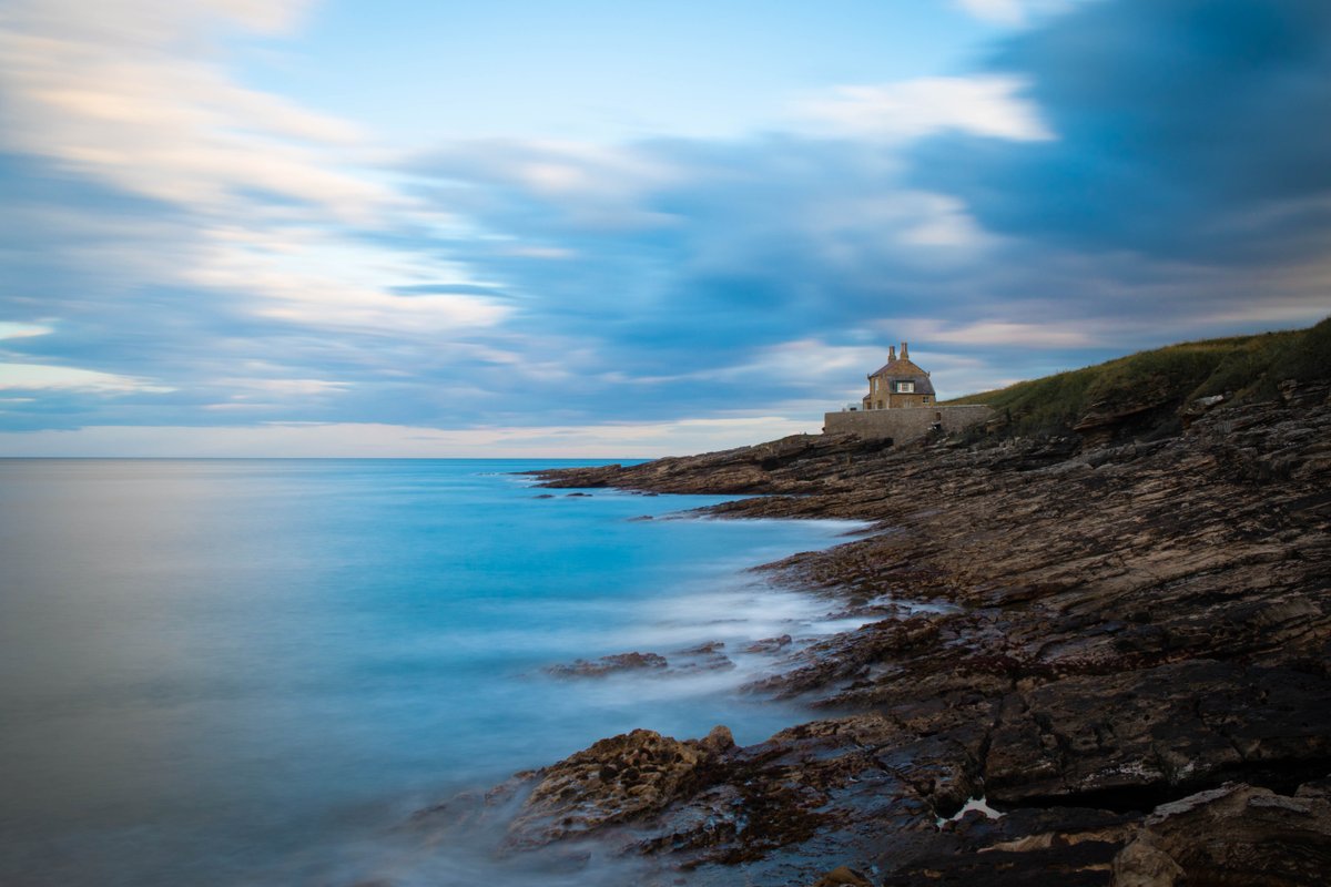 Running Fox Cafe tweet media