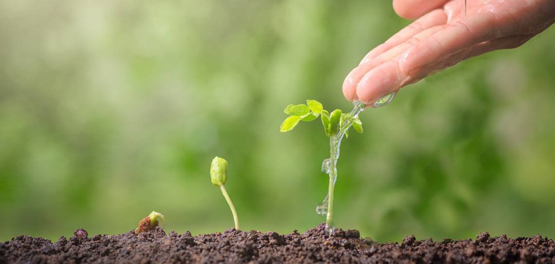 DESANGOSSE's tweet photo. 🌱#JeudiTechnique
De la baisse de l’IFT à la gestion des résistances, en passant par l’absence de résidus dans les récoltes, les produits de #biocontrole apportent de réels bénéfices à l’exploitation #agricole, tout en soignant l’image de l’#agriculteur
➡️https://t.co/Ru4lLpKEZy https://t.co/n0jfYAksWV