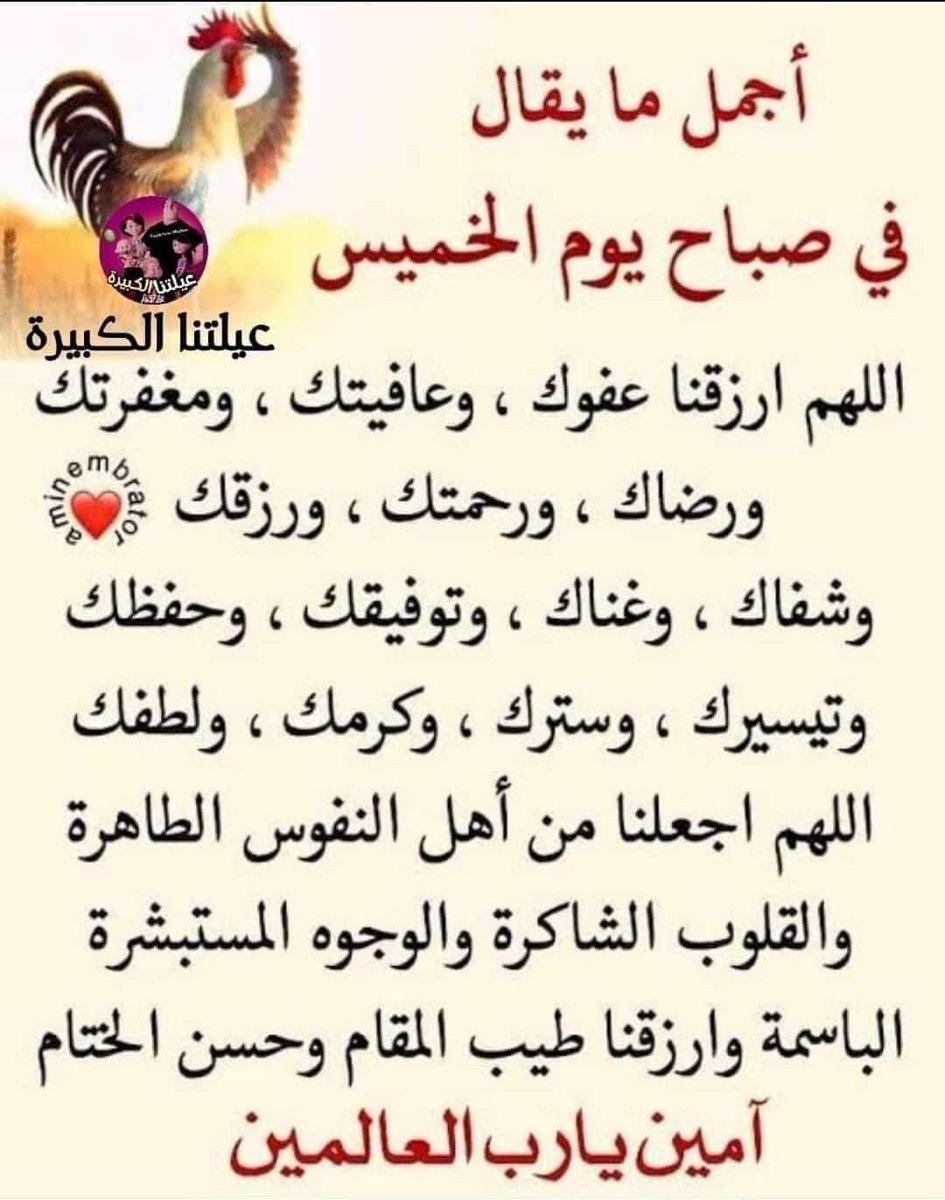 نهى علوان tweet media