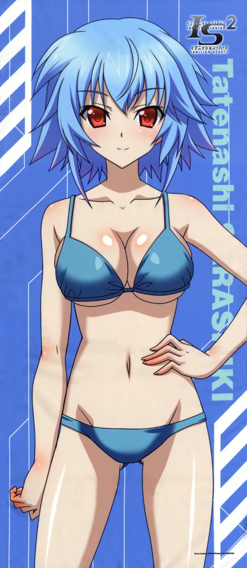 Anime Waifus on X: ππππ Anime: Infinite Stratos / X
