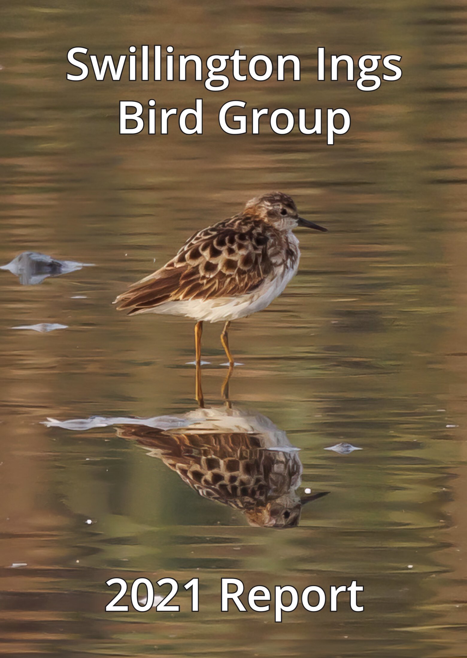 Swillington Ings Bird Group (SwillyIngsBG) / Twitter