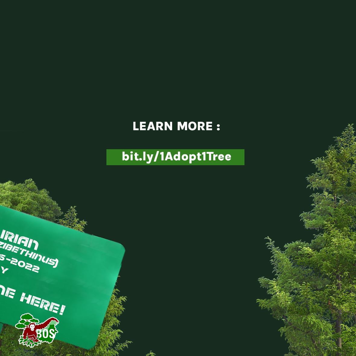 #Orangutan habitat plays an important role in combating climate change. Learn how you can double your impact and support both orangutan rehabilitation and habitat conservation through our “Adopt One, Plant One” campaign! Click here: bit.ly/1Adopt1Tree 🦧

#saveorangutans