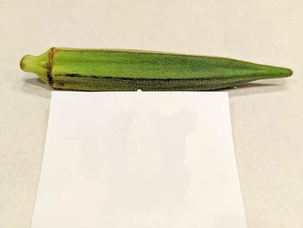 オクラ選びの参考になる！オクラは大きいものよりも小さいものを選ぶのが良い？！