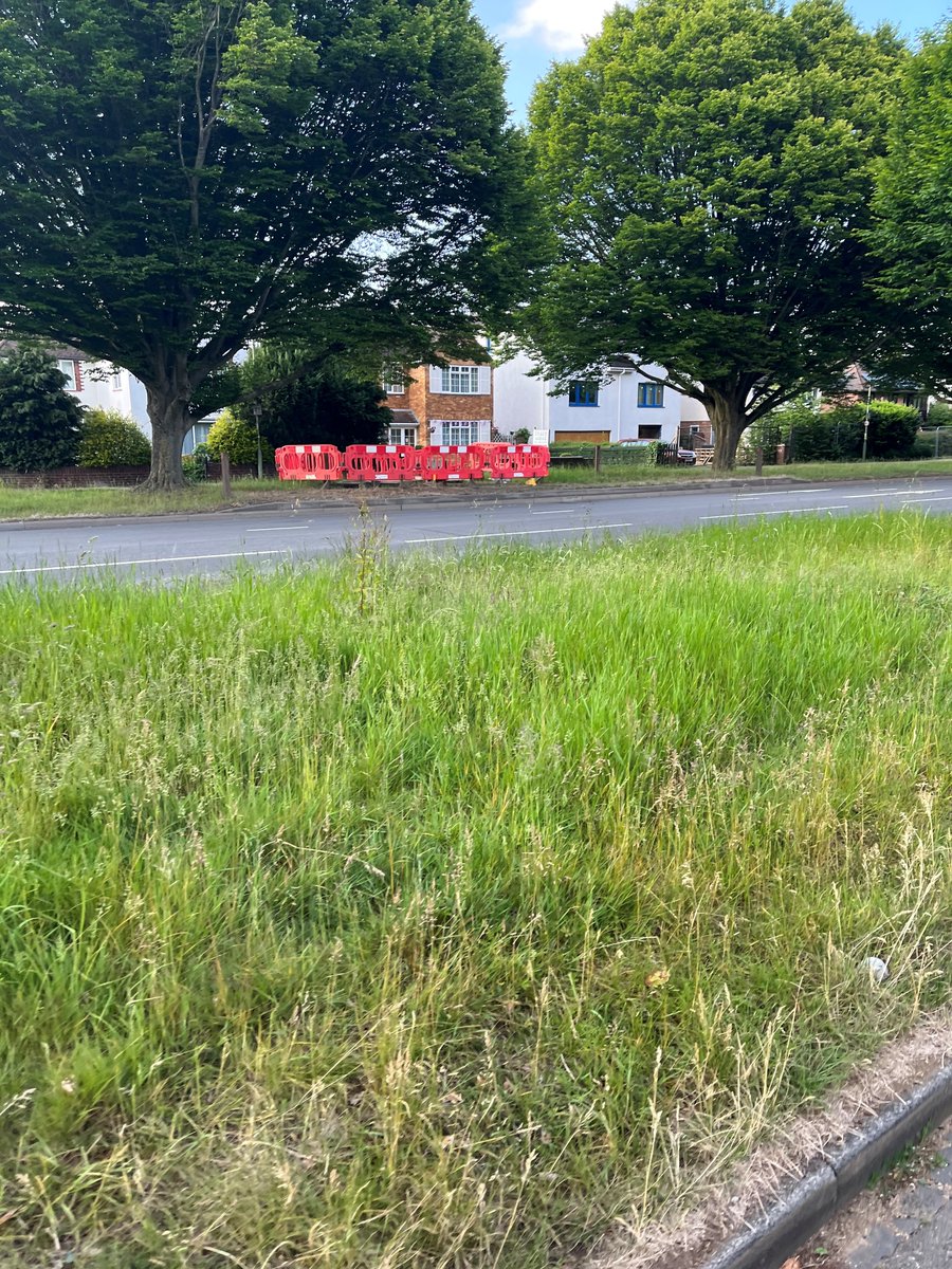 Kit_Yates_Maths's tweet photo. Whenever I see them preparing works on Sunderland Avenue in Oxford, I wonder whether they're secretly trying to hide the entrance to another world.
@PhilipPullman #SubtleKnife https://t.co/PTA8XZvHdg