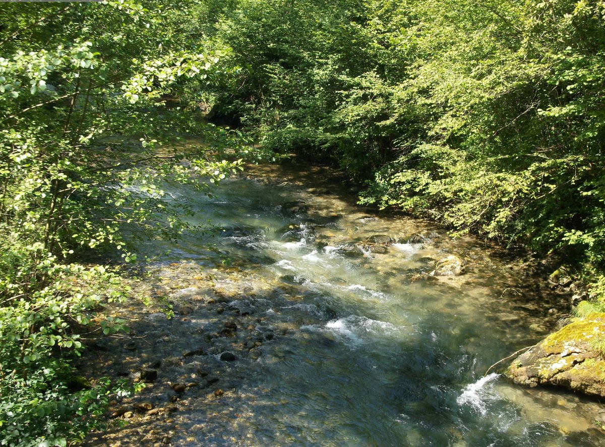 📢 L'appel à communications pour le séminaire #SAGE 2022 est lancé !
Cette édition a pour thème « Le SAGE face aux situations hors-normes » et se tiendra à Lille du 3 au 5 octobre 2022. #eau #ChangementClimatique
➡️ gesteau.fr/actualite/appe…