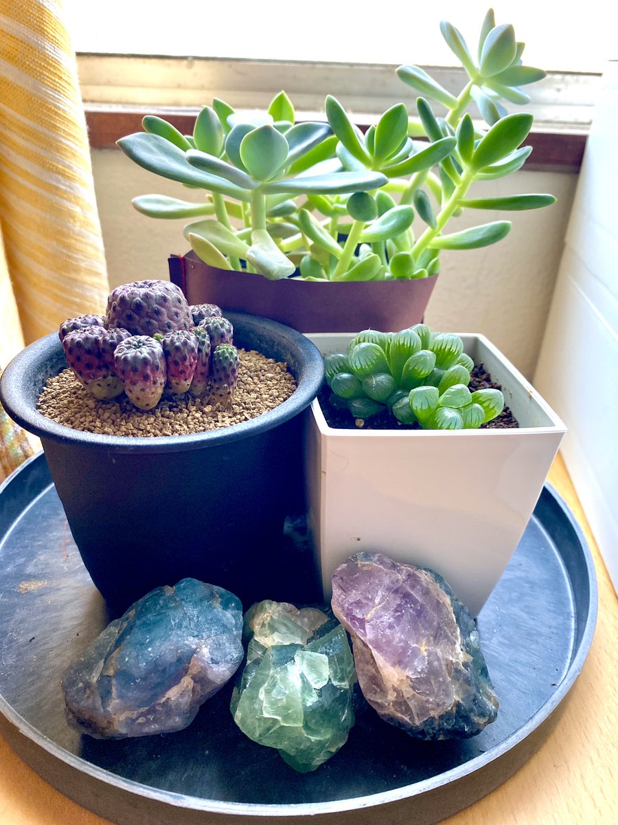 そよ風さん (@soyokazesansan) / Posts and Replies / X