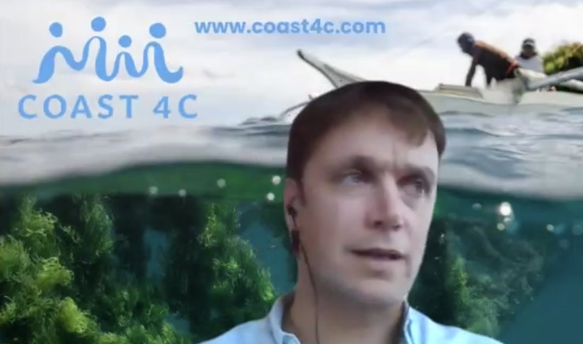 Seaweed First tweet media