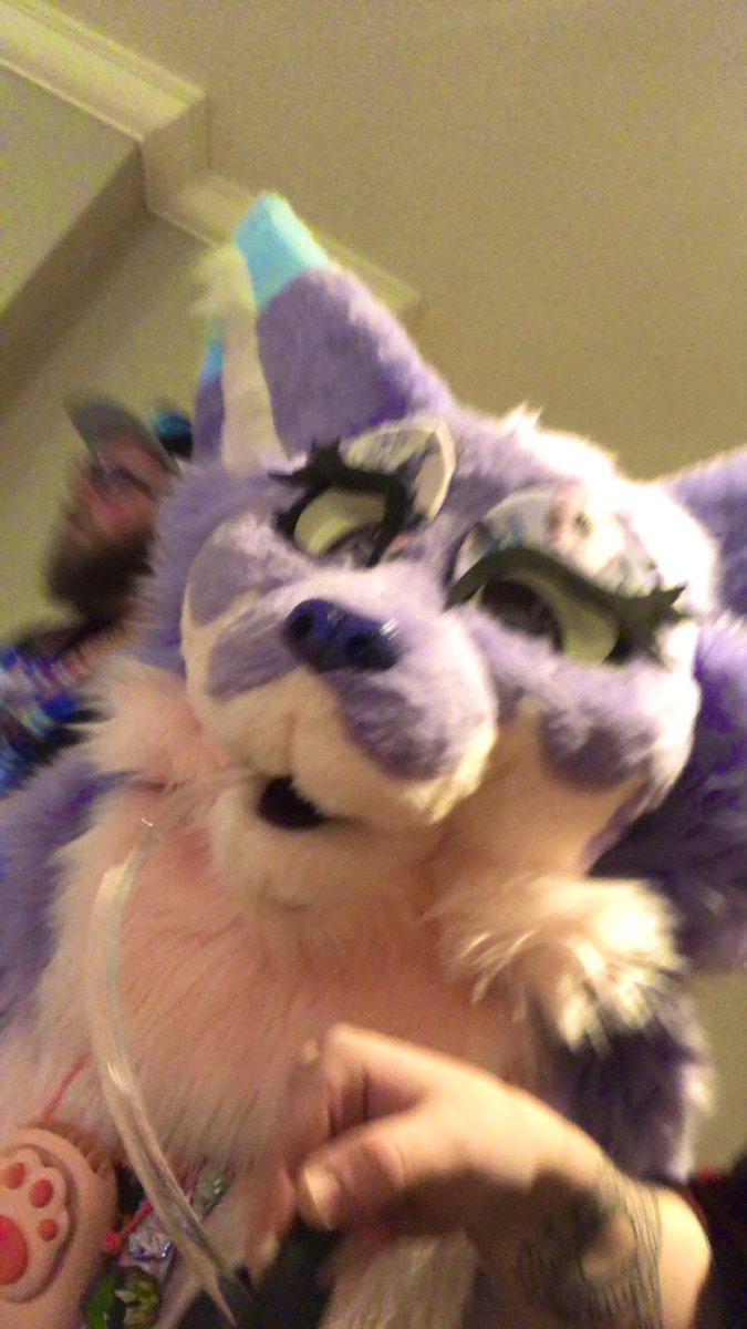 cotton_delight's tweet photo. The pure chaotic energy in this photo of me drinking water๐ #confuzzled2022 #confuzzled22 #cfz2022 https://t.co/Bt0khWEemA