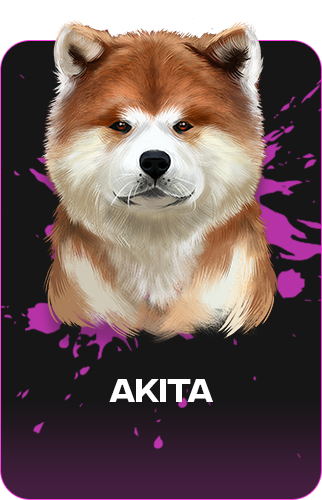 Look at one of <a href="/oogydog/">OOGY DOG</a> NFT! 

#SHIBARMY #NFTCommumity #P2E