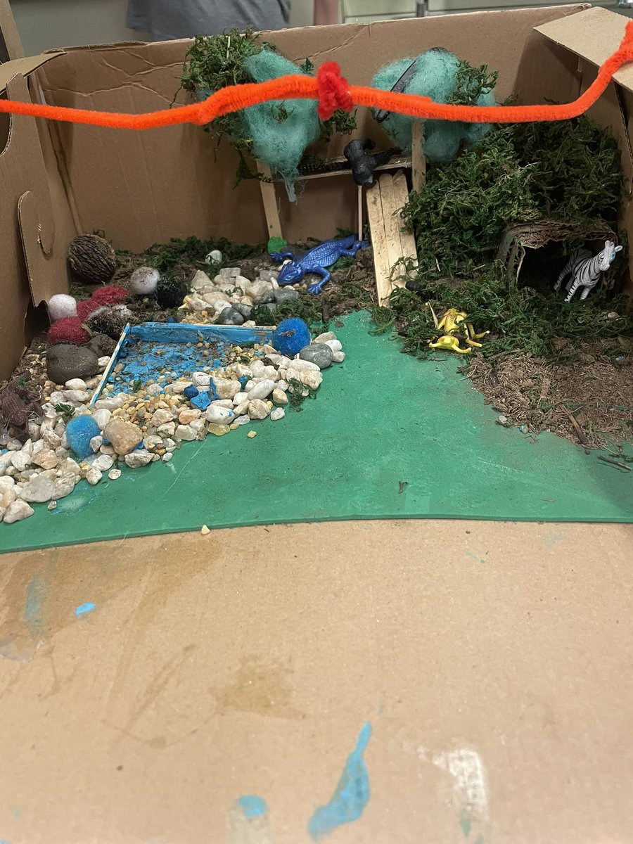 Mrs. Lammer’s 7th grade students were tasked with creating the next enclosure and exhibit for the <a href="/phillyzoo/">Philly Zoo</a> and they did a phenomenal job!! They each chose a biome and had to include the interactions between organisms and the human impact on that biome.