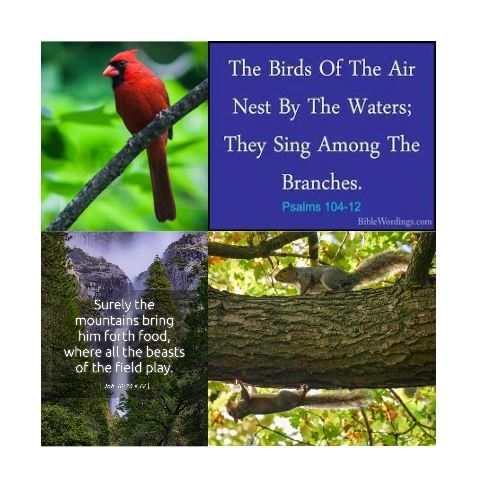 heidiluckysworl's tweet photo. Work, learn, teach, play....
Have a really balanced day!
Love, Blessings and Peace,
Heidi
#godfirst #love #inspiration #motivation #heidilucky #heidiluckysworld #HLW #LNML
https://t.co/BiiwVJ6zOt https://t.co/yUfi0CUn0R