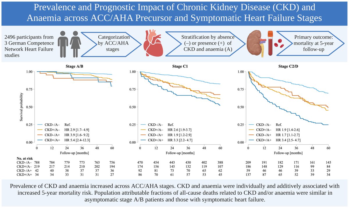 Christiane E. Angermann (@ceangermann) on Twitter photo Congratulations to Louisa Gerhardt for demonstrating that while prevalence and severity of CKD and anaemia  rise along the HF trajectory, population attributable fractions of mortality risk are ~30% across all the ACC/AHA  stages. Read more at rdcu.be/cONkv Congratulations to Louisa Gerhardt for demonstrating that while prevalence and severity of CKD and anaemia  rise along the HF trajectory, population attributable fractions of mortality risk are ~30% across all the ACC/AHA  stages. Read more at rdcu.be/cONkv
