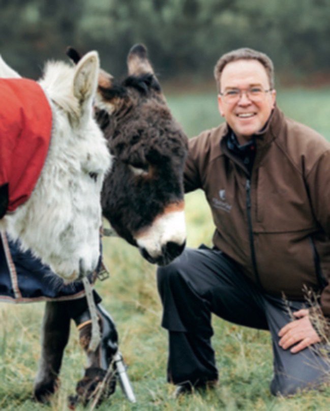 Animal Therapy Media tweet media