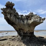 ツイートに含まれる画像