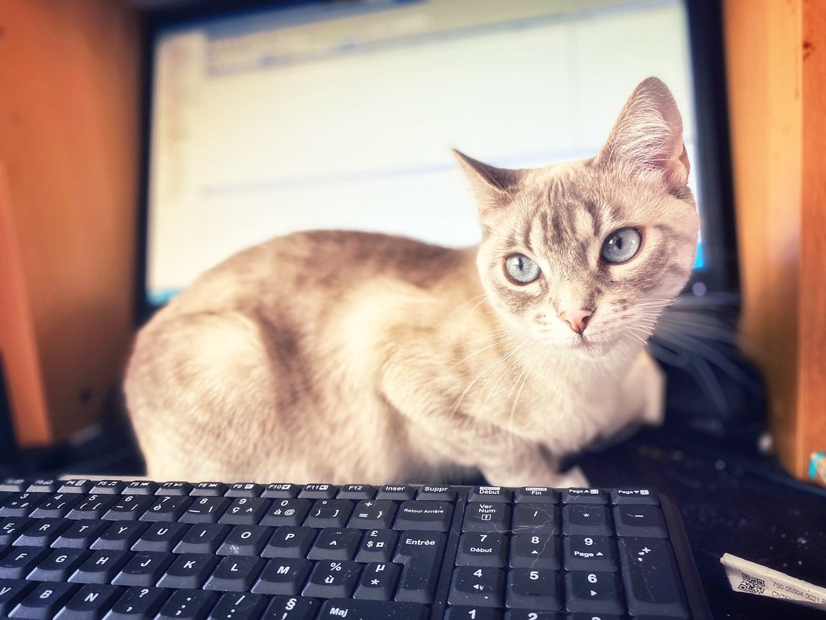 fanny_abernathy's tweet image. #KeyboardMaster